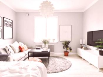 Интериор в хола в скандинавски стил: дизайнерски идеи, избор на мебели, декорация, цветови палитри