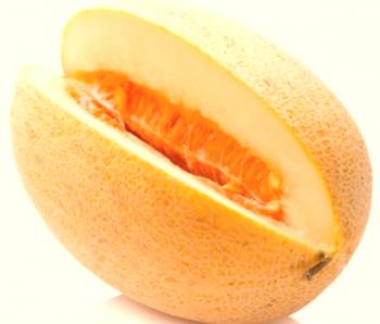 Značajke sorte Melon Torpedo