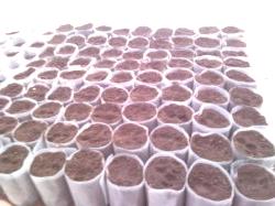 Plastové kelímky pro pěstování sazenic