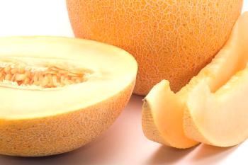 Popis a charakteristika ananasového melounu