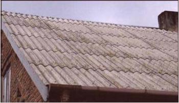 Jak si vybrat břidlicovou barvu pro spolehlivou ochranu střechy