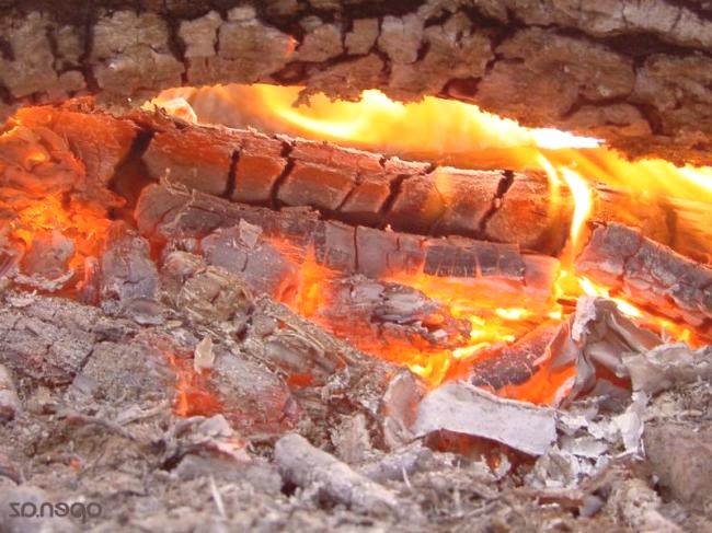 Teplota hoření palivového dřeva