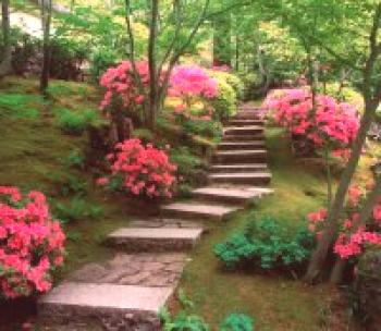 Как да си направим стълба в градината: оригинални решения за многоетажни парцели