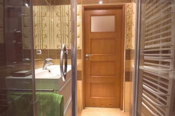 Dveře v koupelně a WC: co je lepší - sklo, dřevo, MDF