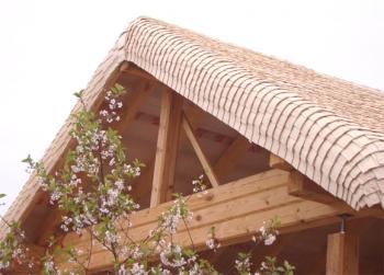 Strešne skodle na strehi macesna, podrobna fotografija + video