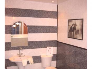 PVC panel pro koupelnu: foto revize, design, instalace