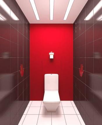 Изложение към тоалетната: дизайн и неговото изпълнение