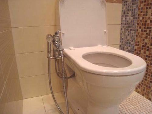 Хигиеничен душ или биде - как да се намери най-доброто решение в малко пространство