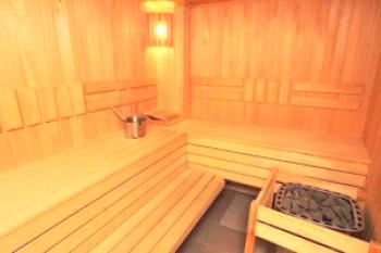 Dizajn saune