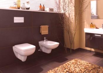 Nadzemní toaleta s instalací: výhody a nevýhody, doporučení pro výběr + instalační pravidla