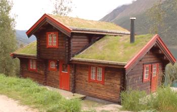 Зелени покриви - поставяне на покривна торта със собствените си ръце, подробности за снимката и видеото