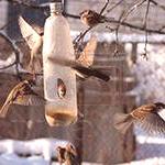 Захранващо устройство за птици от пластмасови бутилки