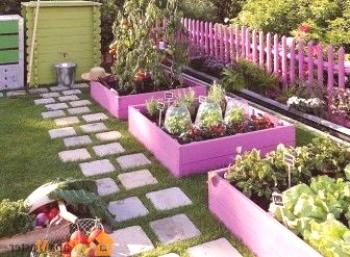 Дизайнът на градинския парцел за отдих се различава от дизайна на вилата, където се отглеждат плодове и зеленчуци.