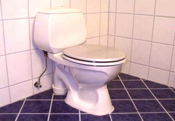 Как да инсталирате или смените тоалетната със собствените си ръце?