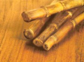 Jaký druh bambusových parket je + přezkoumání technologie jeho pokládky