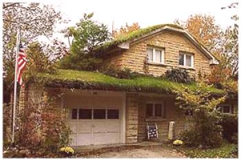Зелен покрив: жилищни покриви в градината