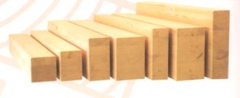 Vana z lepeného nebo profilovaného dřeva: priority výstavby a provozu