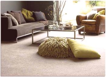 Jak si vybrat koberec pro domácnost. Výhody a nevýhody koberce