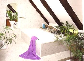 Тоалетна и баня на тавана, плюсове и минуси, как се прави изкуствено осветление, примери за видео и снимки