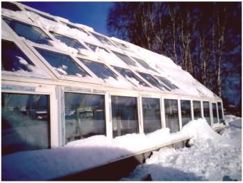Zimní skleník jako podnikatelský nápad