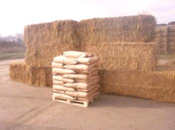 Технологичен процес на производство на пелети от дървени стърготини и слама: производство на гранули от саморъчно производство