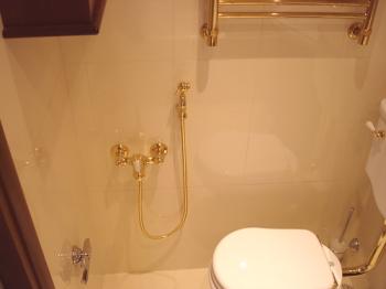 Хигиенен душ в тоалетната: как да изберем, плюсове и минуси, монтаж и монтаж