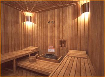 Вентилация в сауната: видове системи, принцип на работа на екстрактори на финландска сауна и бани с електрическа печка