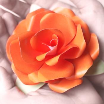 Розите от хартията - Декор и интериорен дизайн