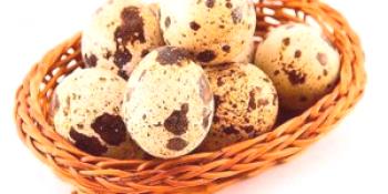Яйца от пъдпъдъци: ползата и вредата за мъжете при ядене