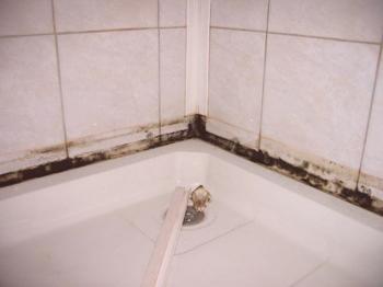 След това измийте банята. Начини за почистване на чугунени, стоманени и акрилни повърхности