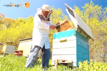 Budování úlu úlu vlastními rukama