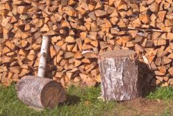 Palivové dřevo pro koupel: sklizeň, sušení, skladování