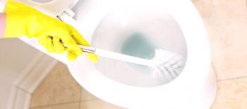 Как да се почисти тоалетната: от вар плака, пикочен камък