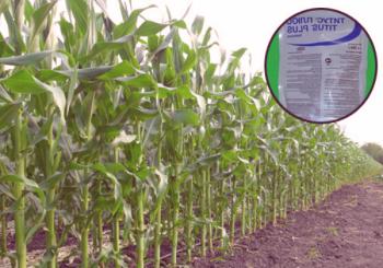 Kako primijeniti herbicide na kukuruz