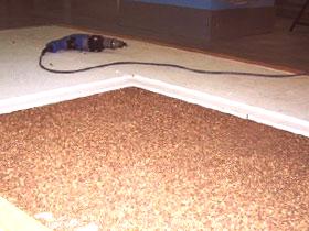 Suché podlahové potěry s vlastníma rukama video. Technologie HVL, potěry, instalace a zařízení